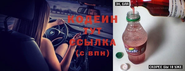 дживик Вязьма