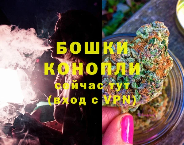 гидра Вязники