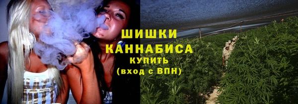 гидра Вязники