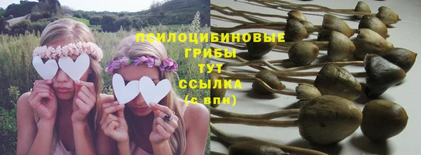 дживик Вязьма