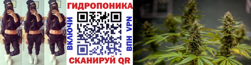 Каннабис White Widow  купить наркотики сайты  Орехово-Зуево 
